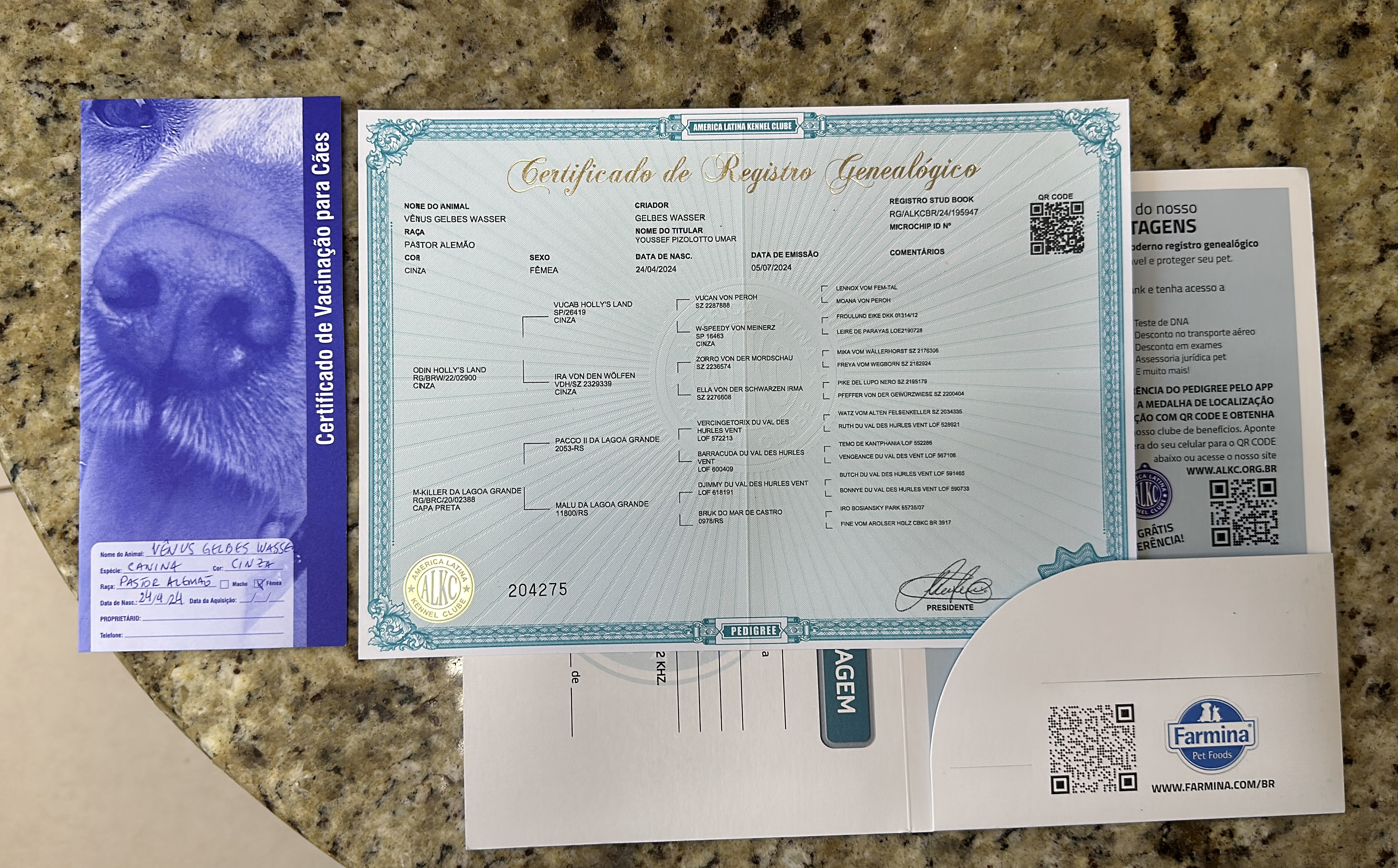 Certificado ALKC e Carteirinha de Vacinação – Canil Gelbes Wasser